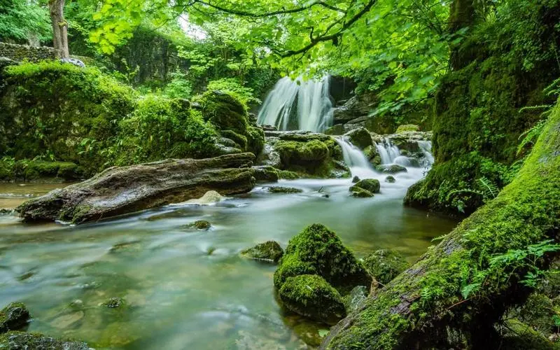 可靠性可靠性精密
